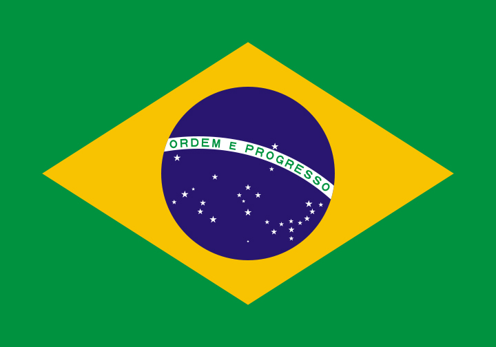 Modern Brazilian Flag